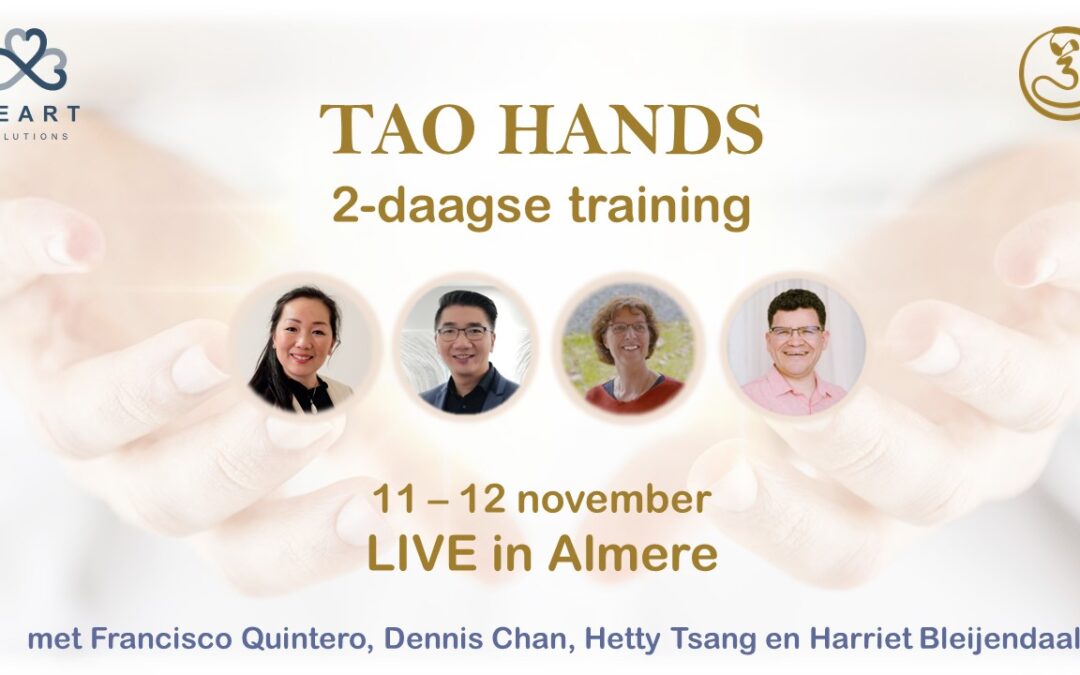Landelijke Tao Hands weekend workshop
